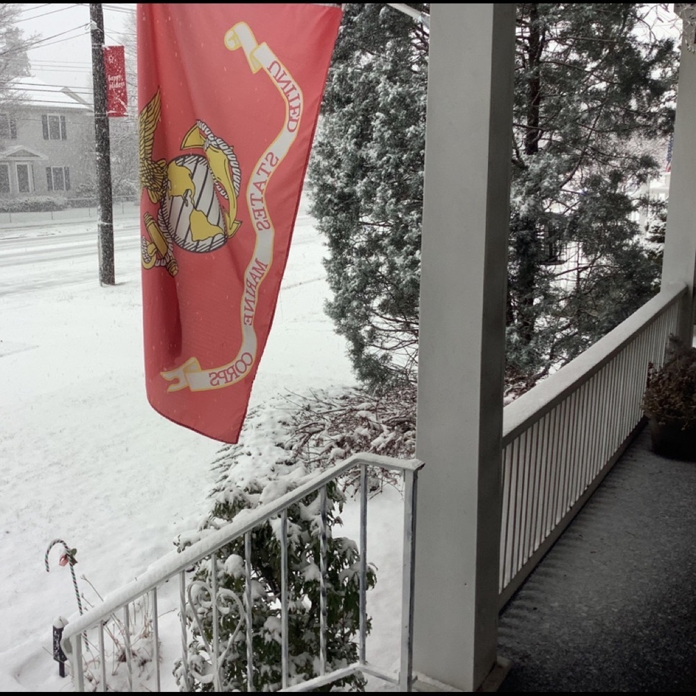 Meet your Posher, Janell